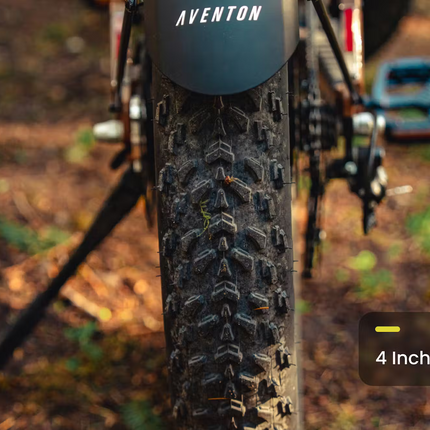 Aventon Aventure.3 E-Bike Step-Over