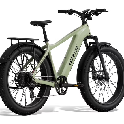 Aventon Aventure.3 E-Bike Step-Over