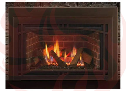 Majestic Ruby 25" Direct Vent Insert [RUBY25IN/IL] (SAK78432) - Phoenix Fire Art Store