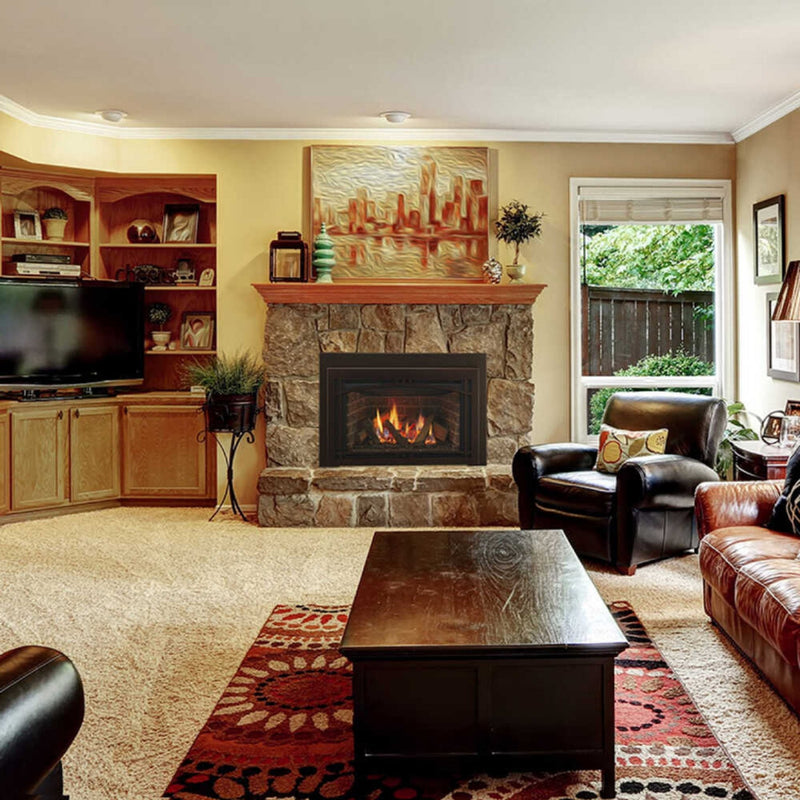 Majestic Ruby 25" Direct Vent Insert [RUBY25IN/IL] (SAK78432)