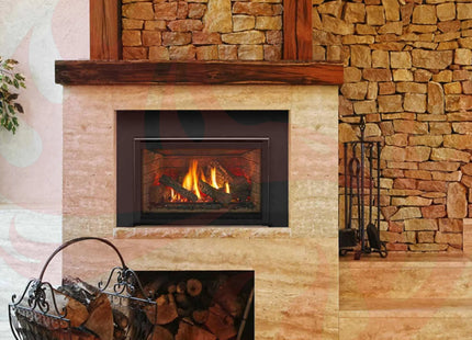 Majestic Trilliant 25" Direct Vent Gas Fireplace Insert [TRILLIANT25IN] (SAK95713) - Phoenix Fire Art Store
