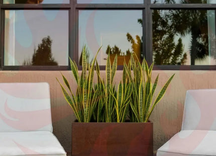 Corten Steel Box Planters - FREE SHIPPING! MK Design Elements