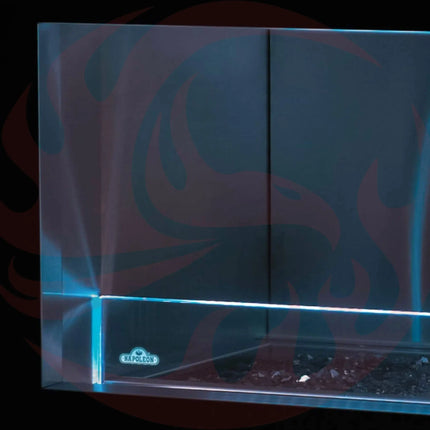 Napoleon Galaxy 48 Outdoor Linear See-Thru Electronic Start Natural Gas Fireplace, 50" [GSS48STE] (SAK67432) SAKSBY WHOLESALE