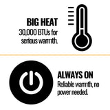 Napoleon Haliburton 50 Direct Vent Millivolt Ignition Compact Natural Gas Stove, 22-Inch [GDS28-1NSB] (SAK81523)