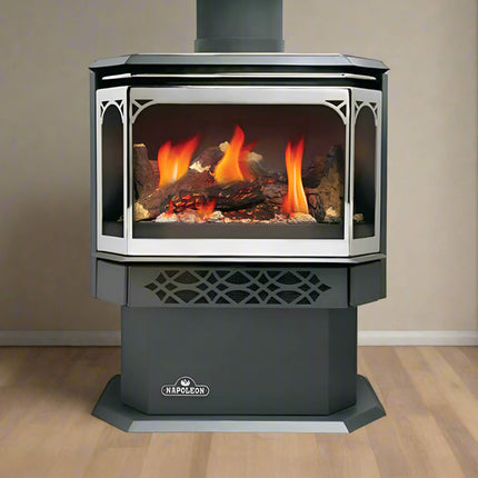 Napoleon Haliburton 50 Direct Vent Millivolt Ignition Compact Natural Gas Stove, 22-Inch [GDS28-1NSB] (SAK81523) SAKSBY WHOLESALE