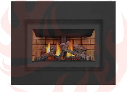 Napoleon Inspiration ZC Direct Vent Millivolt Ignition Natural Gas Fireplace Insert, 36" [GDIZC-NSB] (SAK58347) SAKSBY WHOLESALE