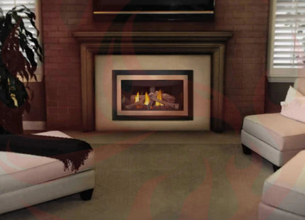 Napoleon Inspiration ZC Direct Vent Millivolt Ignition Natural Gas Fireplace Insert, 36" [GDIZC-NSB] (SAK58347) SAKSBY WHOLESALE