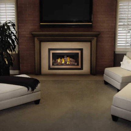 Napoleon Inspiration ZC Direct Vent Millivolt Ignition Natural Gas Fireplace Insert, 36" [GDIZC-NSB] (SAK58347) SAKSBY WHOLESALE