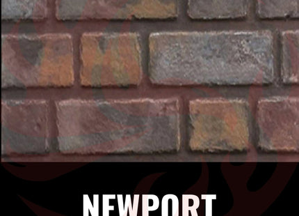 Napoleon Oakville 3 Direct Vent Electronic Ignition Natural Gas Fireplace Insert [GDI3NEA] (SAK82316) SAKSBY WHOLESALE