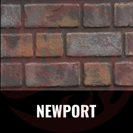 Napoleon Oakville 3 Direct Vent Electronic Ignition Natural Gas Fireplace Insert [GDI3NEA] (SAK82316) SAKSBY WHOLESALE