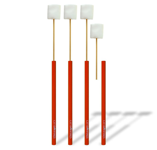 Portable Reusable Skewer 4 Pack - Phoenix Fire Art Store