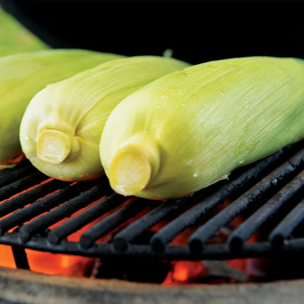 Primo Oval Large 300 All-In-One Ceramic Kamado Grill W/ Cradle, Side Shelves & Stainless Steel Grates [PGCLGC] (SAK21293)