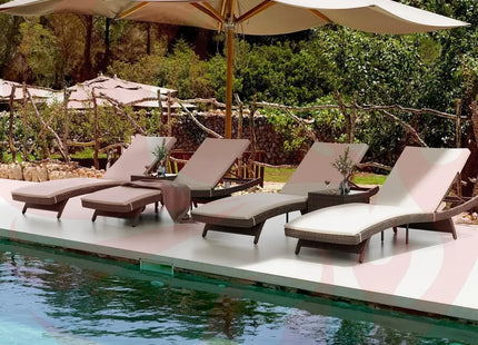 Pamapic Rattan Chaise Lounge Set - Phoenix Fire Art Store