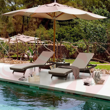 Pamapic Rattan Chaise Lounge Set - Phoenix Fire Art Store