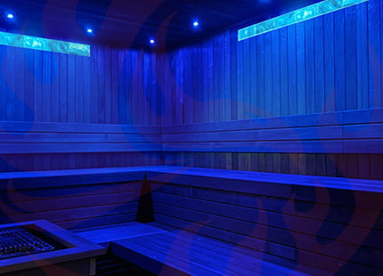 Prosaunas Customizable Small Himalayan Salt Sauna Light Kit (SAK40165) - Phoenix Fire Art Store