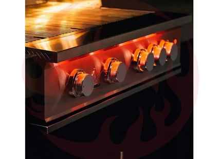 TrueFlame 32-Inch 4-Burner Built-In Grill with Rear Infrared Burner and Grill Lights - Phoenix Fire Art Store