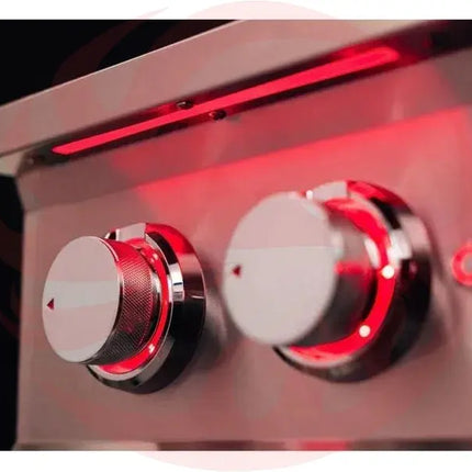 TrueFlame Built-In Gas Power Burner with Wok Grate & Removable Lid Designing Backyards