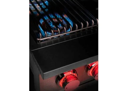 TrueFlame Built-In Double Side Burner with LED Lighting & Stainless Steel Lid Designing Backyards