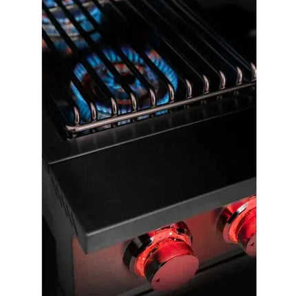 TrueFlame Built-In Double Side Burner with LED Lighting & Stainless Steel Lid Designing Backyards