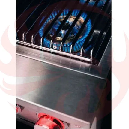 TrueFlame Built-In Double Side Burner with LED Lighting & Stainless Steel Lid Designing Backyards