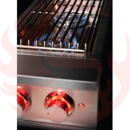 TrueFlame Built-In Double Side Burner with LED Lighting & Stainless Steel Lid Designing Backyards